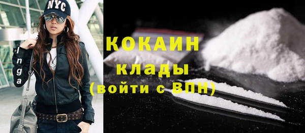прущие грибы Каменка