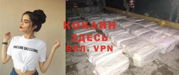 прущие грибы Каменка