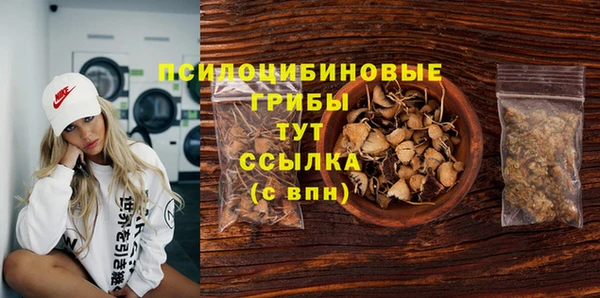 дживик Каменск-Шахтинский