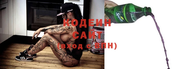 сатива Карпинск