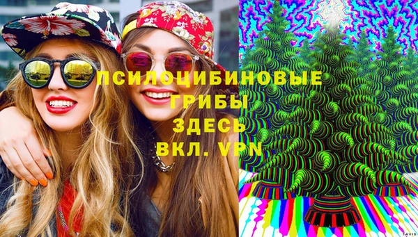 прущие грибы Каменка