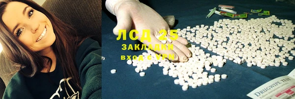 прущие грибы Каменка