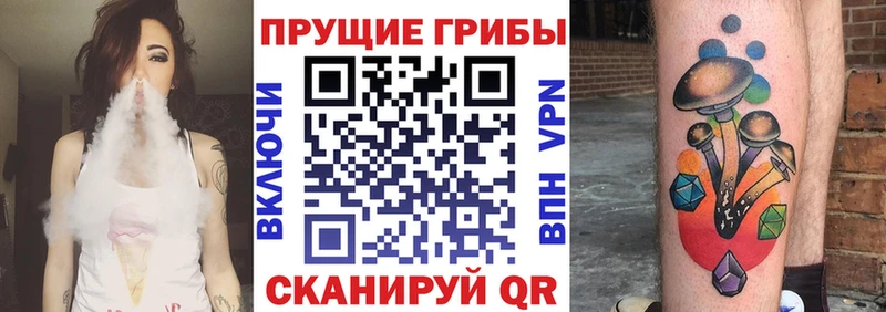 Галлюциногенные грибы прущие грибы  Карталы 